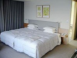 ���� ����� Nikko Niigata 4*