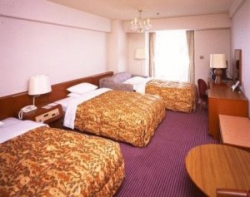 ���� ����� Radisson Miyako Hotel Osaka 4*
