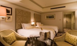 ���� ����� Nikko Tokyo 4*