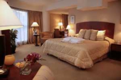 ���� ����� Melia Buenos Aires Boutique 4*
