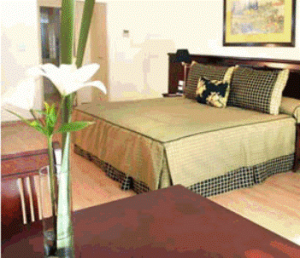 ���� ����� Executive 4*