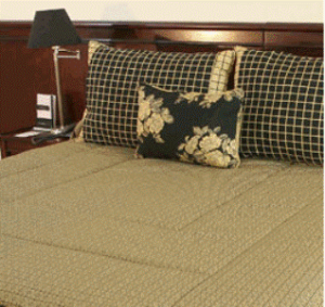 ���� ����� Executive 4*