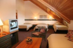 ���� ����� Del Glaciar 4*