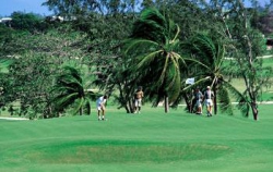 ���� ����� Bougainvillea Beach Resort 5*