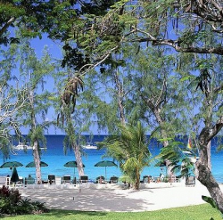 ���� ����� Coral Reef Club 5*