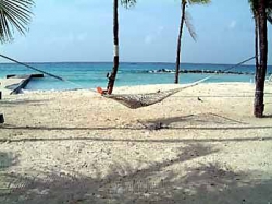 ���� ����� Barbados Hilton 4*