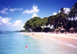 ���� ����� Tamarind Cove 4*