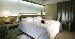 ���� ����� Bourbon Curitiba Convention 5*