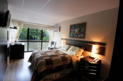 ���� ����� Amazon Jungle Palace 5*