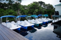 ���� ����� Amazon Jungle Palace 5*