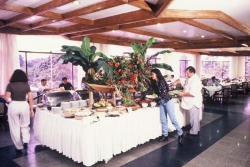 ���� ����� Tropical Manaus Bussiness 4*