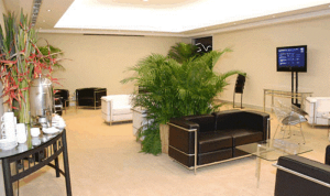 ���� ����� Inter-Continental Rio 5*