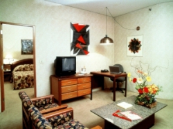 ���� ����� Maksoud Plaza 5*