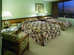 ���� ����� Maksoud Plaza 5*