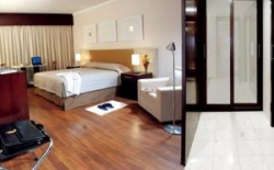 ���� ����� Grand Plaza Hotel 4*