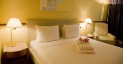 ���� ����� Pestana Sao Paulo 4*