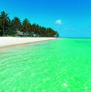 ���� ����� Barcelo Bavaro Caribe  Beach 4*