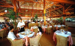 ���� ����� Barcelo Bavaro Caribe  Beach 4*