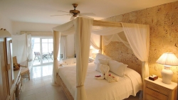 ���� ����� Barcelo Dominican Beach 4*