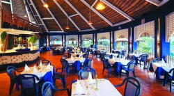 ���� ����� Barcelo Punta Cana 4*