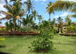 ���� ����� Punta Cana Princess 4*