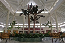 ���� ����� Gran Bahia Principe El Portillo 5*