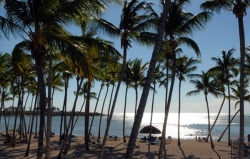 ���� ����� Gran Bahia Principe La Romana 5*