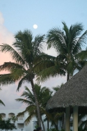 ���� ����� Be Live Hotel Canoa Bayahibe 4*