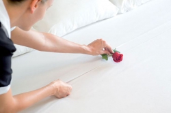 ���� ����� Riu Guanacaste 5*