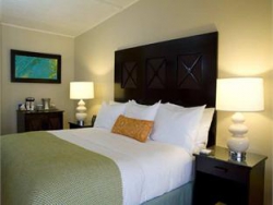 ���� ����� Hilton Papagayo Resort Costa Rica 4*