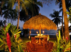 ���� ����� Tango Mar Beach and Golf Resort 4*