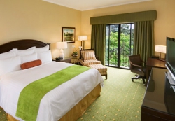 ���� ����� Costa Rica Marriott Hotel San Jose 5*