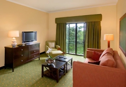 ���� ����� Costa Rica Marriott Hotel San Jose 5*