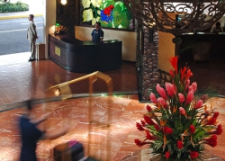 ���� ����� Doubletree Cariari by Hilton San Jose (ex.Melia Cariari) 5*