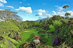 ���� ����� Bougainvillea 4*