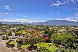 ���� ����� Bougainvillea 4*