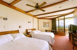���� ����� Bougainvillea 4*