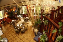 ���� ����� Corteza Amarilla 4*
