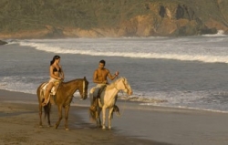 ���� ����� BlueBay Los Angeles Locos 4*