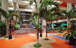 ���� ����� Melia Puerto Vallarta 5*