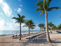 ���� ����� Barcelo Maya Palace Deluxe 5*