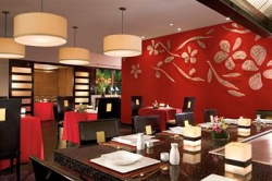 ���� ����� Dreams Riviera Cancun 5*