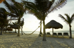 ���� ����� Grand Palladium White Sand Resort and Spa 5*