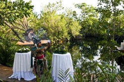 ���� ����� Hacienda Tres Rios 5*