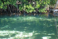 ���� ����� Hacienda Tres Rios 5*