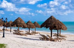 ���� ����� Ocean Coral and Turquesa 5*