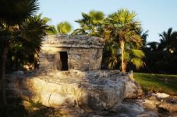 ���� ����� Sandos Playacar Beach Resort and Spa 5*