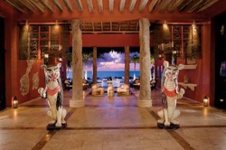 ���� ����� Zoetry Paraiso de la Bonita 5*