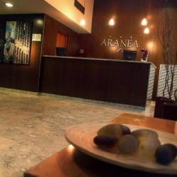���� ����� Apsis Aranea  3*