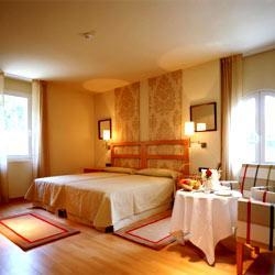 ���� ����� Parador De Vic-Sau 4*